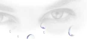 Ihr Spezialist f�r Kontaktlinsen und Brillen in K�ln.